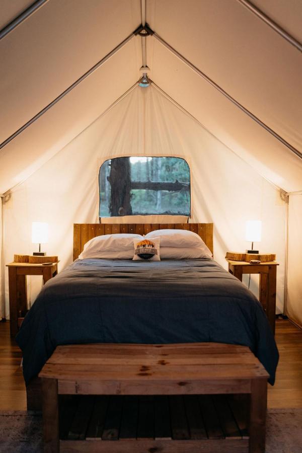 Treehouse Cozy Glamping Site Otel Branson Dış mekan fotoğraf